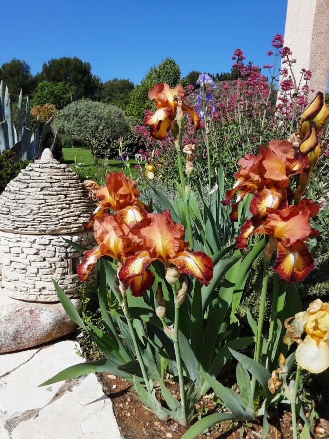 L'Eolyre Bed & Breakfast La Motte-d'Aigues Luaran gambar